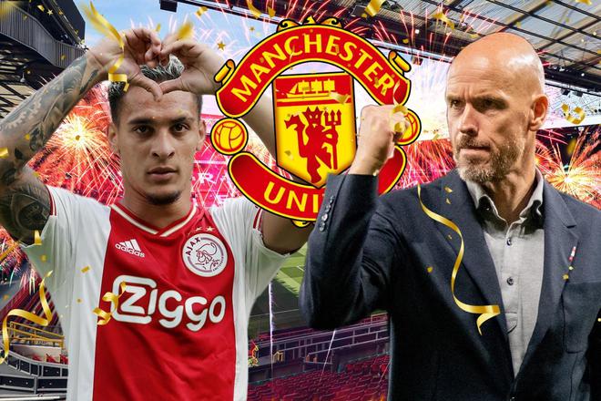 功能性使他 功能性使他